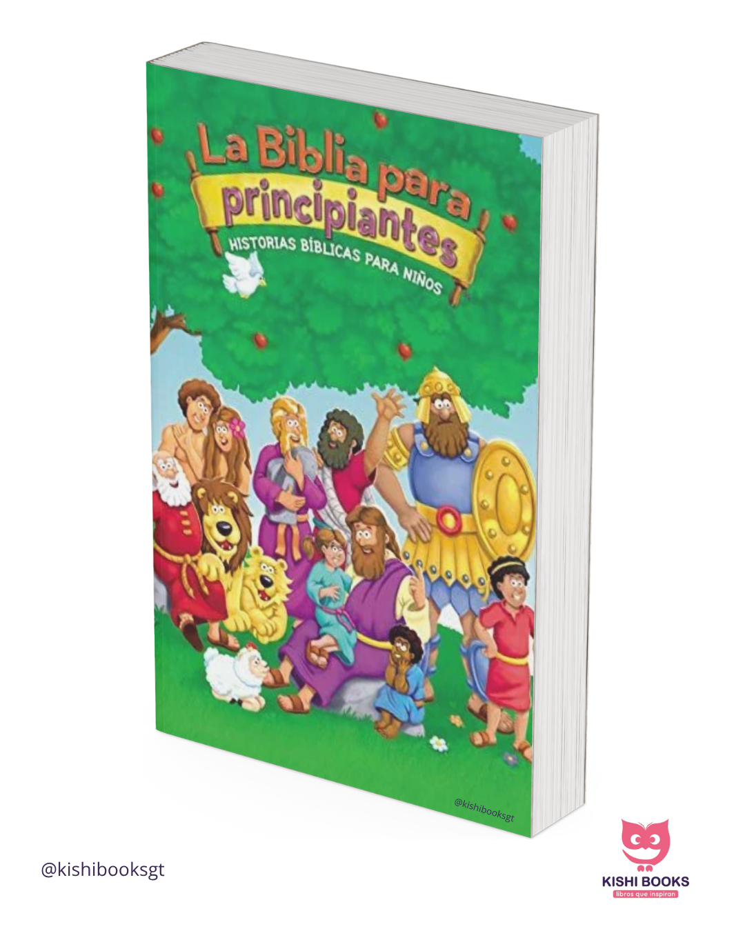 La Biblia para principiantes