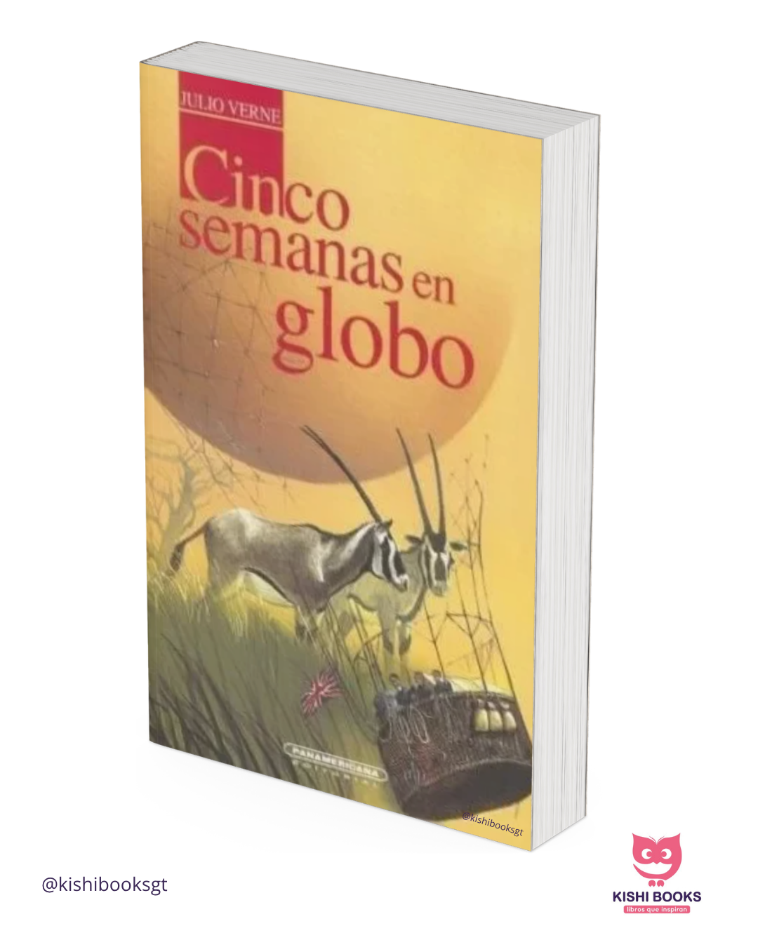 Cinco semanas en globo ( Editorial Panamericana )