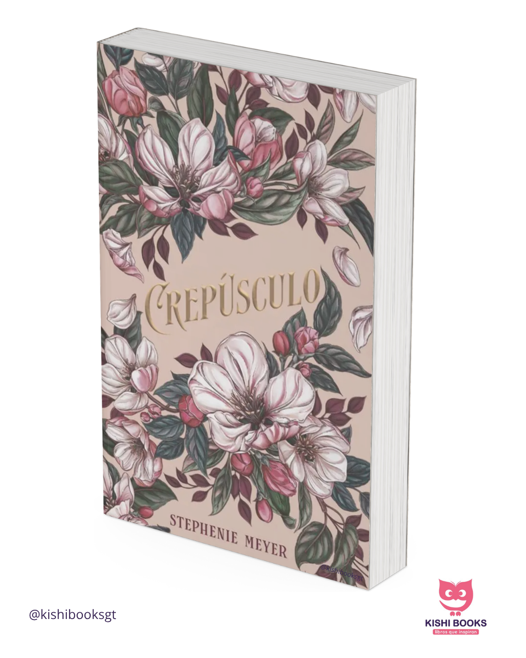 Crepúsculo 1: Edición Limitada Bella y Edward (Especial 20 Aniversario)