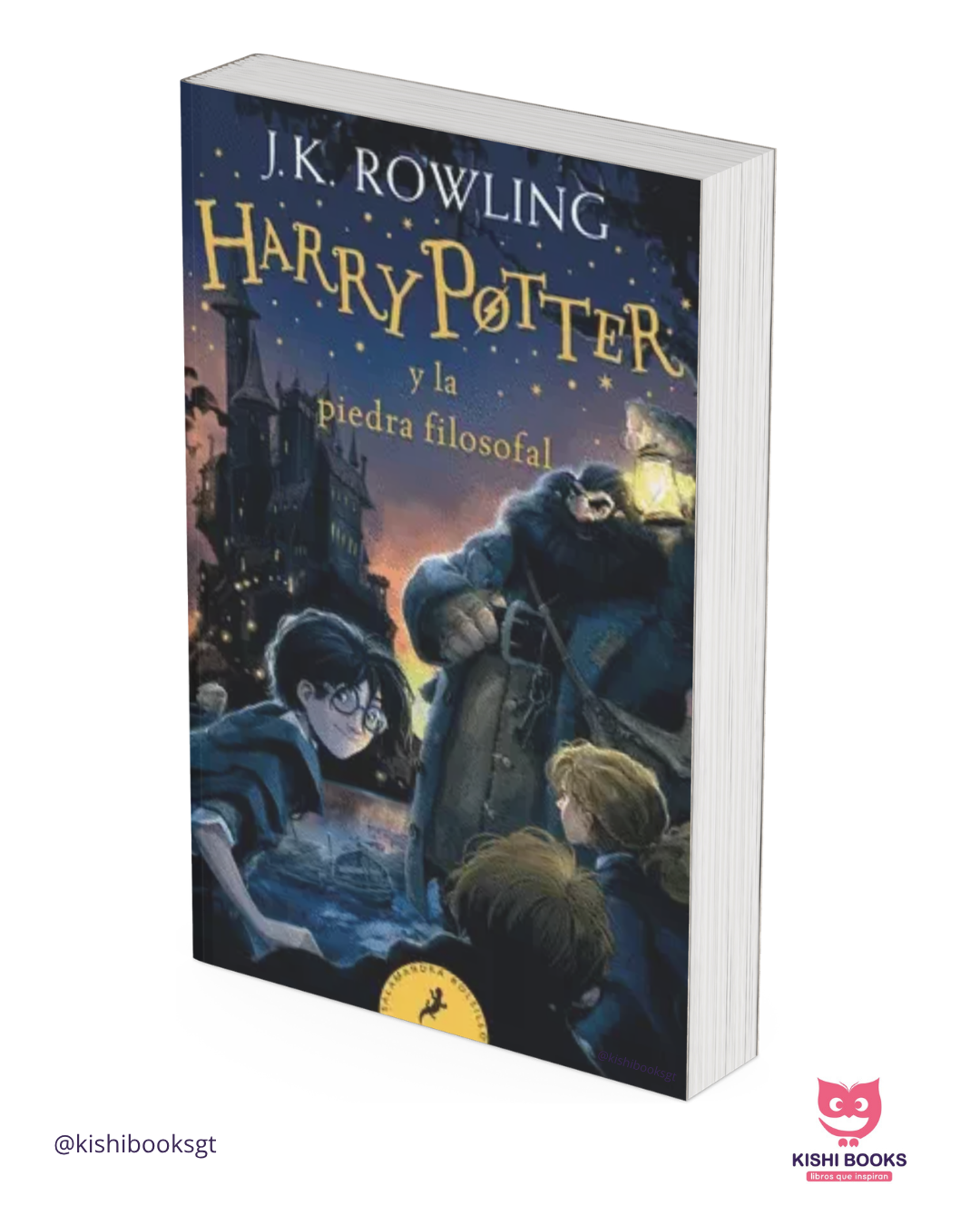 Harry Potter 1: la piedra filosofal