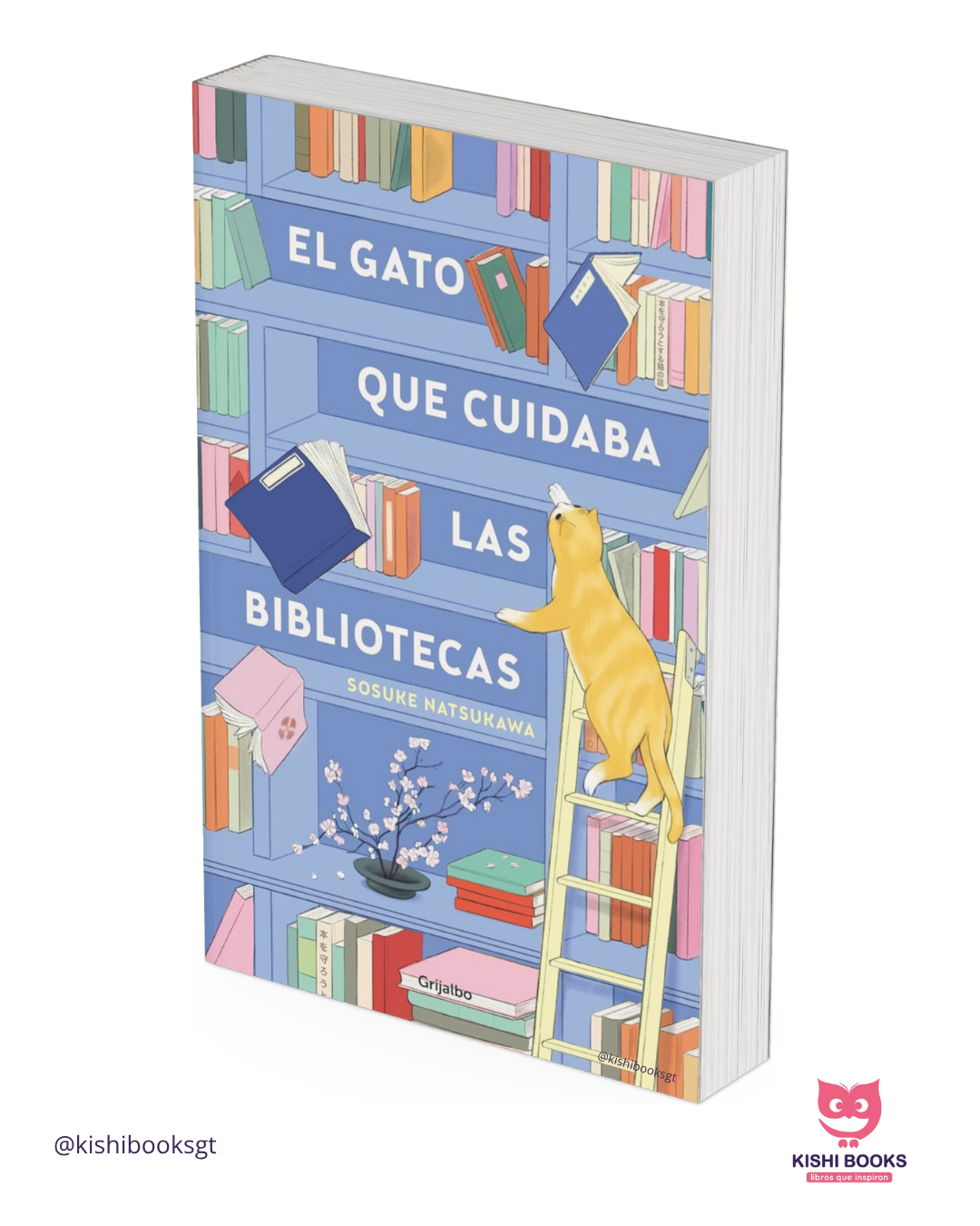 El gato que cuidaba las bibliotecas