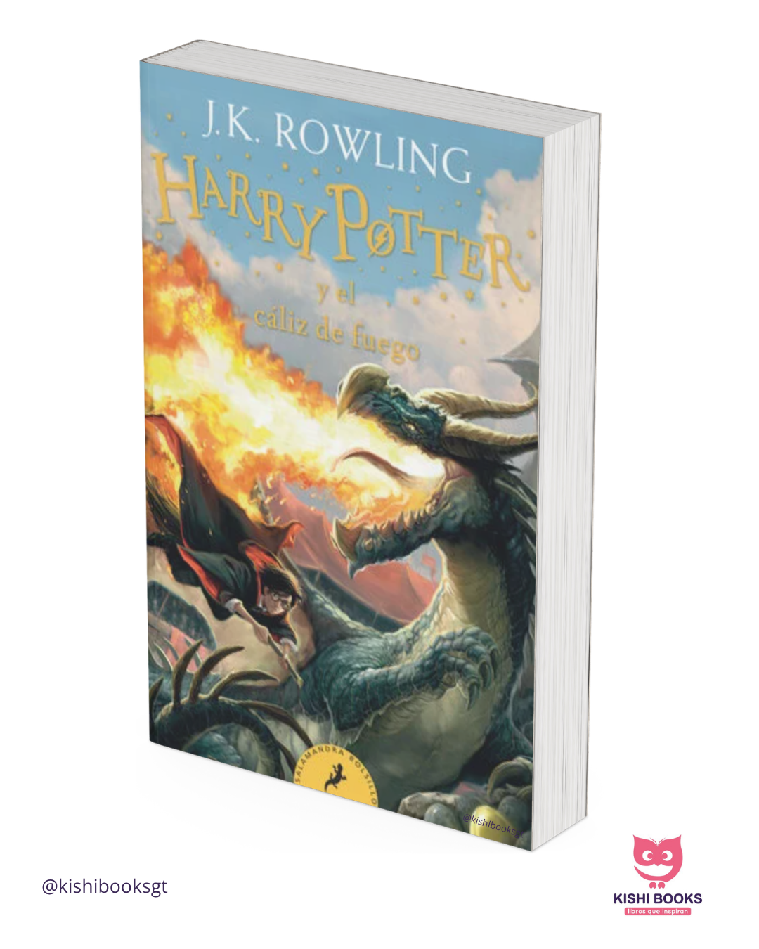 Harry Potter 4: Cáliz de fuego