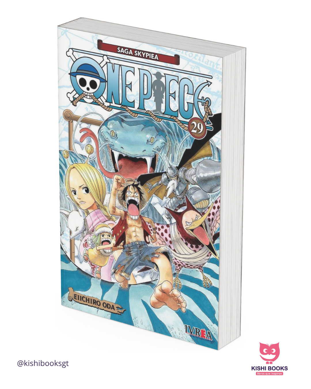 One Piece #29